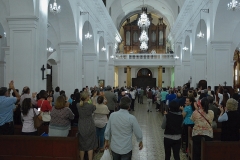 organistas-13
