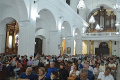 organistas-9